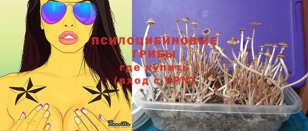 герыч Пестово