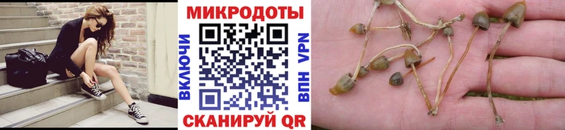 Галлюциногенные грибы GOLDEN TEACHER  Кириллов 