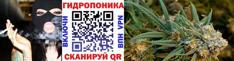 Конопля OG Kush купить Кириллов